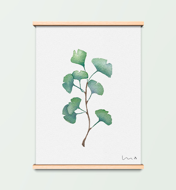 VIU · Il·lustració