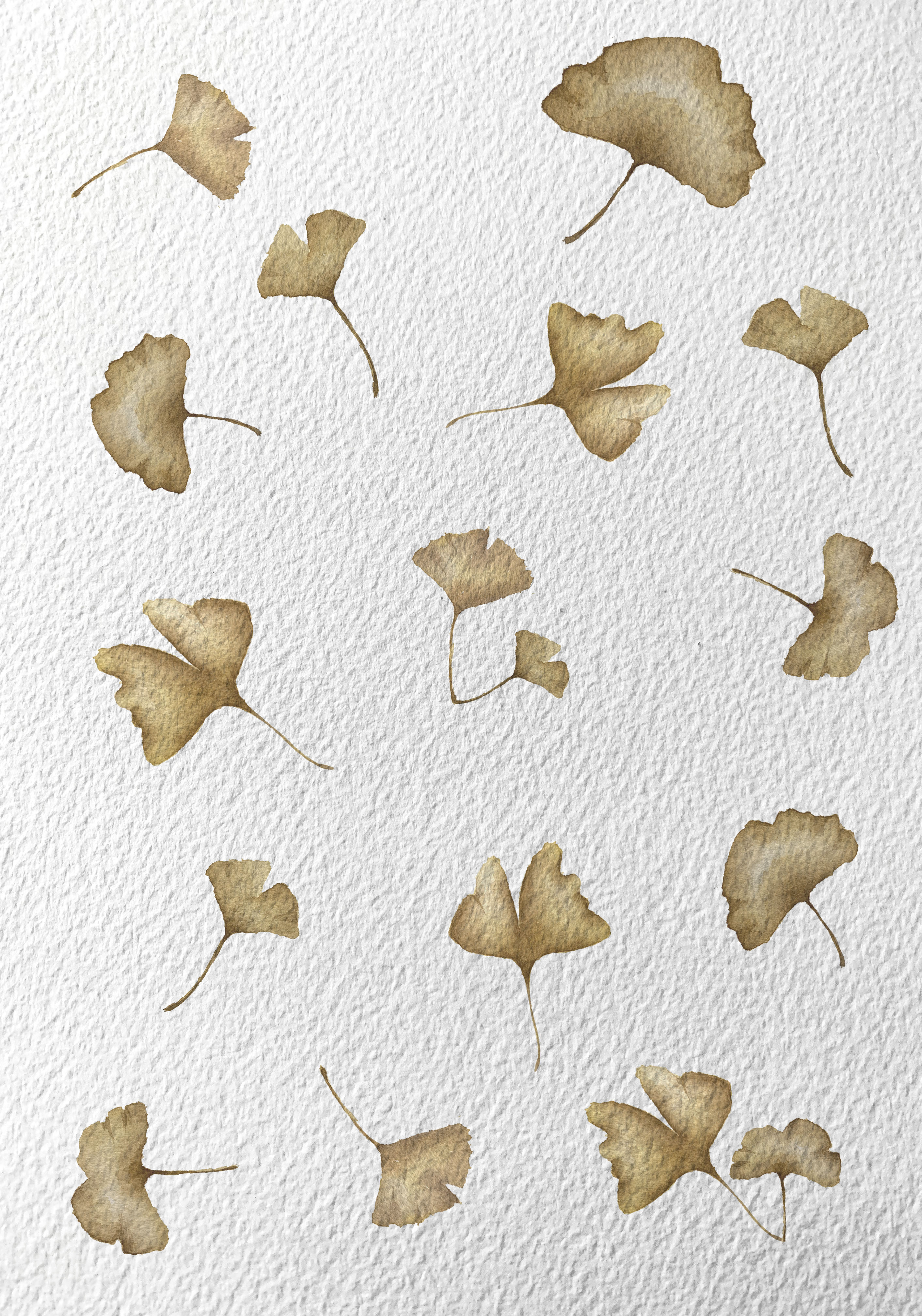 Wallpaper Ginkgo Montse Sala Tutusaus disseny